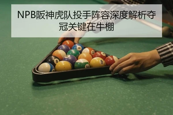ban-shen-hu-dui-tou-shou-zhen-rong-shen-du-jie-xi-duo-guan-guan-jian-zai-niu-peng-2-361.jpg