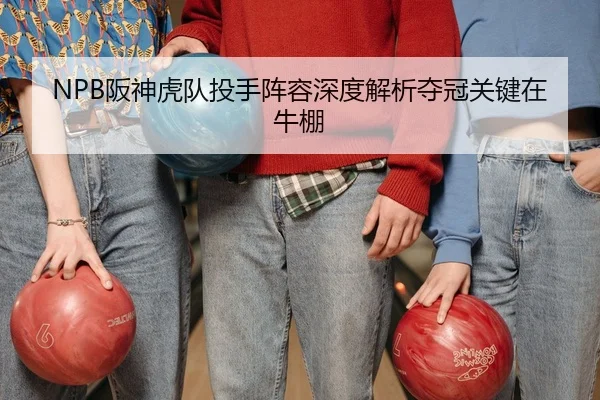 NPB阪神虎队投手阵容深度解析夺冠关键在牛棚
